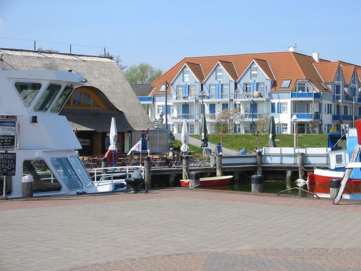 Fewo Am Alten Hafen - Zingst Ostseebad 外观 照片